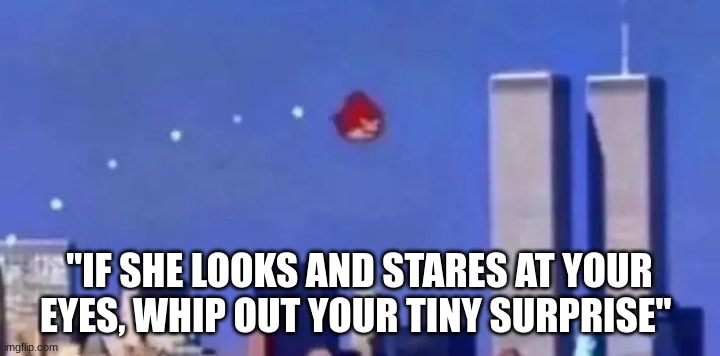 Hehehehehe | "IF SHE LOOKS AND STARES AT YOUR EYES, WHIP OUT YOUR TINY SURPRISE" | image tagged in angry bird 9/11 | made w/ Imgflip meme maker