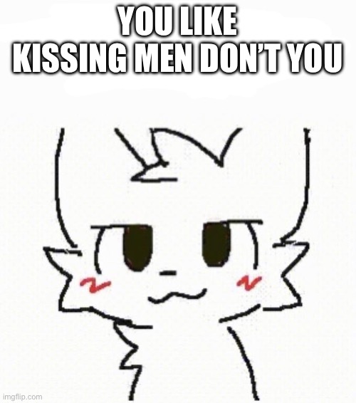 boy kisser furry | YOU LIKE KISSING MEN DON’T YOU | image tagged in boy kisser furry | made w/ Imgflip meme maker