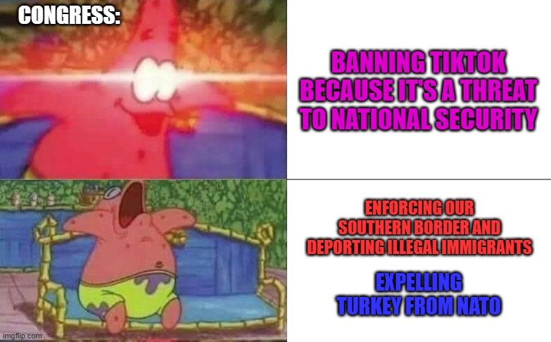 Patrick Awake vs. Patrick Sleeping | CONGRESS:; BANNING TIKTOK BECAUSE IT'S A THREAT TO NATIONAL SECURITY; ENFORCING OUR SOUTHERN BORDER AND DEPORTING ILLEGAL IMMIGRANTS; EXPELLING TURKEY FROM NATO | image tagged in memes,tiktok,congress,illegal immigrants,turkey,nato | made w/ Imgflip meme maker