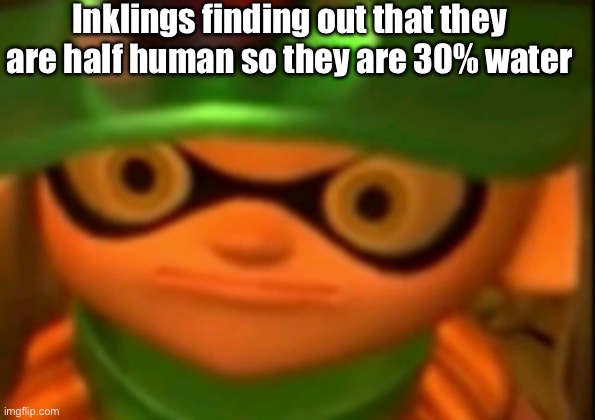 OH GOD NO- | Inklings finding out that they are half human so they are 30% water | image tagged in splatoon | made w/ Imgflip meme maker