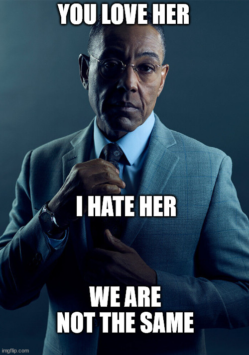 Gus Fring we are not the same | YOU LOVE HER I HATE HER WE ARE NOT THE SAME | image tagged in gus fring we are not the same | made w/ Imgflip meme maker