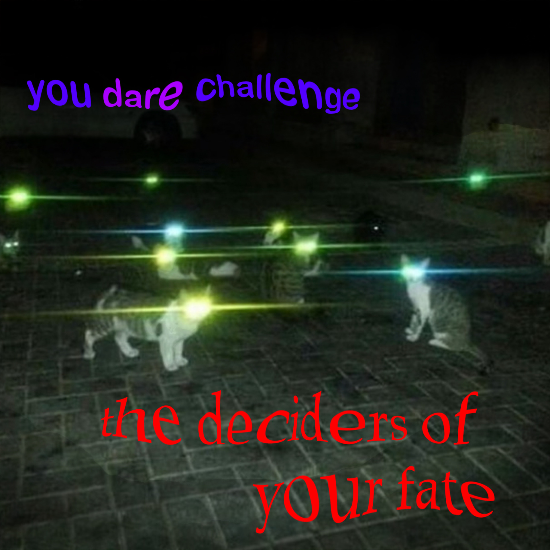 you dare challenge the deciders of your fate Blank Meme Template
