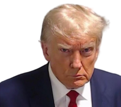 High Quality donald trump Blank Meme Template