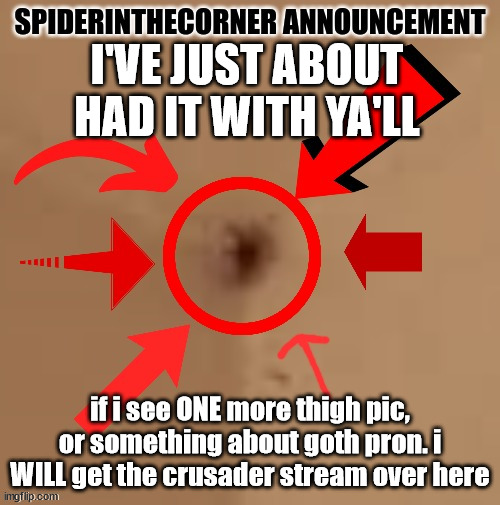 spiderinthecorner announcement | I'VE JUST ABOUT HAD IT WITH YA'LL; if i see ONE more thigh pic, or something about goth pron. i WILL get the crusader stream over here | image tagged in spiderinthecorner announcement | made w/ Imgflip meme maker