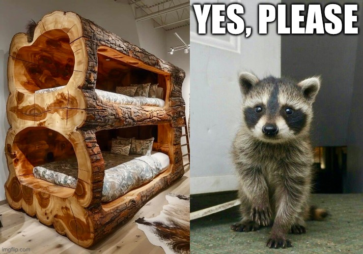 Logging Lodging | YES, PLEASE | image tagged in raccoon,cabin the the woods,tree,bed,bedtime | made w/ Imgflip meme maker
