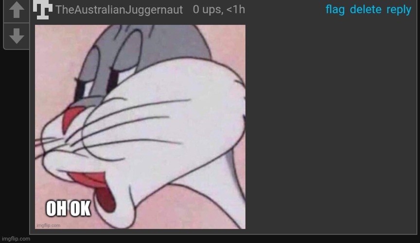 TheAustralianJuggernaut oh ok | image tagged in theaustralianjuggernaut oh ok | made w/ Imgflip meme maker