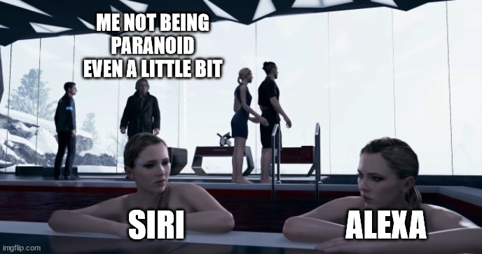 What they talking about? | ME NOT BEING PARANOID EVEN A LITTLE BIT; SIRI                          ALEXA | image tagged in detroit become human,ai meme | made w/ Imgflip meme maker