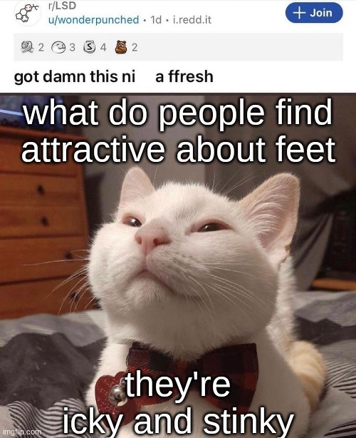 LSD cat | what do people find attractive about feet; they're icky and stinky | image tagged in lsd cat | made w/ Imgflip meme maker