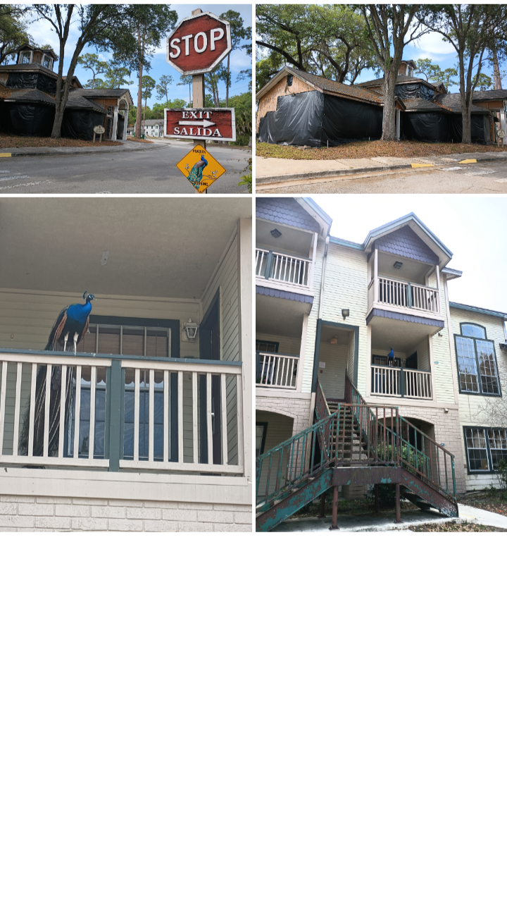 Funny Blank Meme Template