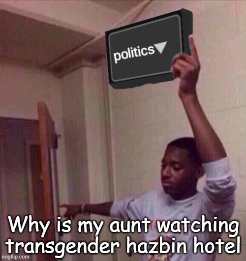 Go back to politics stream | Why is my aunt watching transgender hazbin hotel | image tagged in go back to politics stream | made w/ Imgflip meme maker