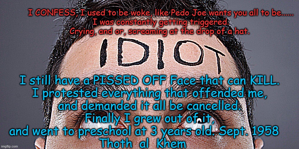 WOKE-THE CURE? | I CONFESS, I used to be woke, like Pedo Joe wants you all to be......
I was constantly getting triggered.
Crying, and or, screaming at the drop of a hat. I still have a PISSED OFF Face that can KILL.
I protested everything that offended me,
and demanded it all be cancelled.
Finally I grew out of it,
and went to preschool at 3 years old. Sept. 1958   
Thoth  al  Khem | image tagged in funny,woke,grow up,wtf is wrong with you,fluoride poison,thoth al khem | made w/ Imgflip meme maker