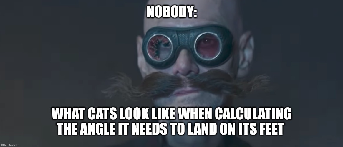 A cat always lands on its feet | NOBODY:; WHAT CATS LOOK LIKE WHEN CALCULATING THE ANGLE IT NEEDS TO LAND ON ITS FEET | image tagged in robotnik smirk,cats,jpfan102504 | made w/ Imgflip meme maker