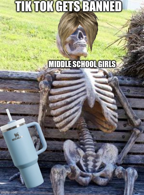 TIK TOK GETS BANNED MIDDLE SCHOOL GIRLS | image tagged in memes,waiting skeleton | made w/ Imgflip meme maker