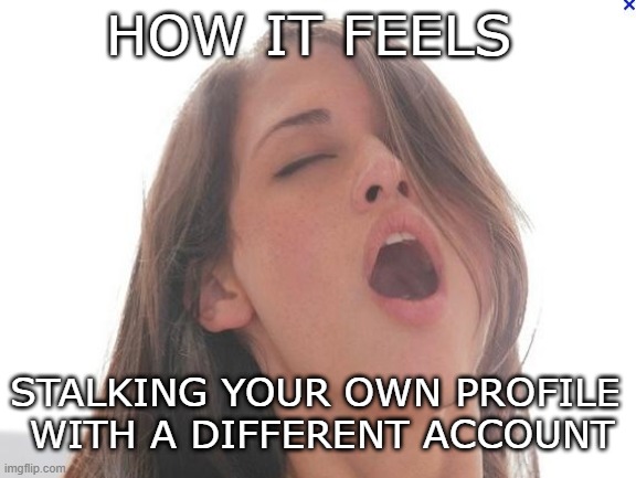 orgasm | HOW IT FEELS; STALKING YOUR OWN PROFILE 
WITH A DIFFERENT ACCOUNT | image tagged in orgasm | made w/ Imgflip meme maker