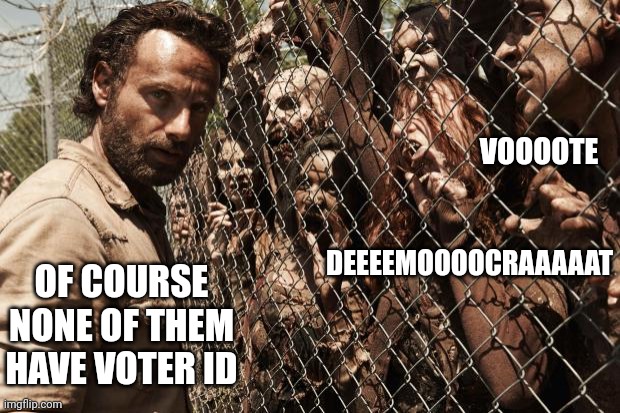 zombies | VOOOOTE DEEEEMOOOOCRAAAAAT OF COURSE NONE OF THEM HAVE VOTER ID | image tagged in zombies | made w/ Imgflip meme maker