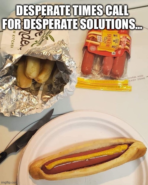 Poor Man’s Gourmet | DESPERATE TIMES CALL FOR DESPERATE SOLUTIONS… | image tagged in gourmet hotdog | made w/ Imgflip meme maker