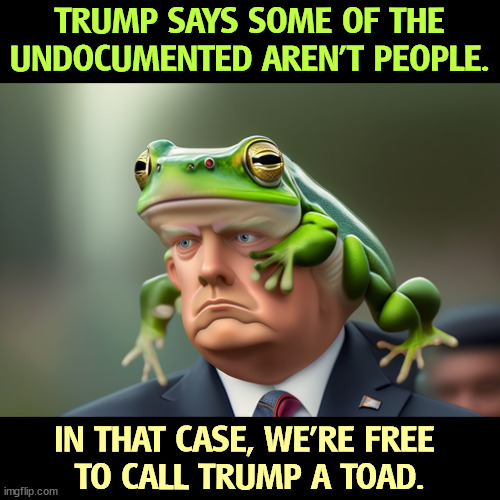 TRUMP SAYS SOME OF THE UNDOCUMENTED AREN'T PEOPLE. IN THAT CASE, WE'RE FREE 
TO CALL TRUMP A TOAD. | image tagged in immigrants,people,respect,trump,inhuman,toad | made w/ Imgflip meme maker