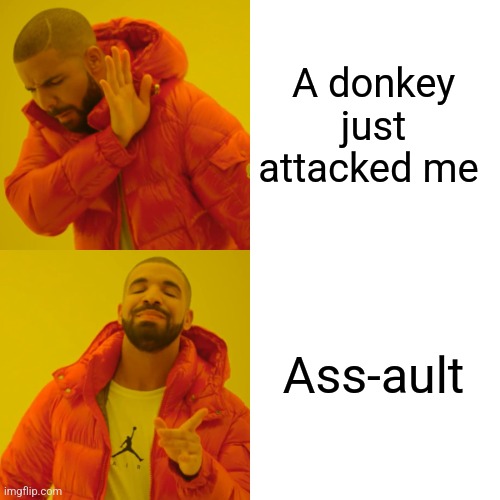 Ass-ault | A donkey just attacked me; Ass-ault | image tagged in memes,drake hotline bling,jokes,puns,jpfan102504 | made w/ Imgflip meme maker