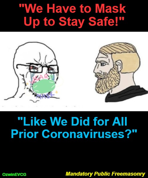 Mandatory Public Freemasonry [PSC] | "We Have to Mask 

Up to Stay Safe!"; "Like We Did for All 

Prior Coronaviruses?"; Mandatory Public Freemasonry; OzwinEVCG | image tagged in soyjak vs chad,security theater,covid masking,liberal logic,masonic processions,clown world | made w/ Imgflip meme maker