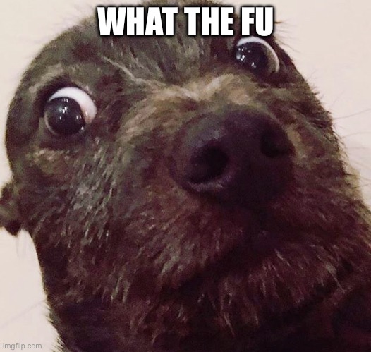 What the fudge dogg | WHAT THE FU | image tagged in what the fudge dogg | made w/ Imgflip meme maker