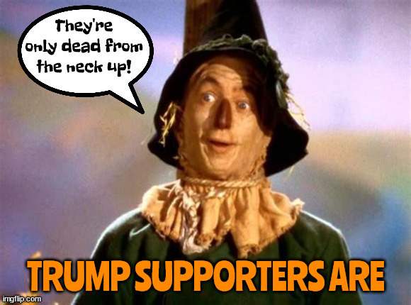 Trumpers are.... | TRUMP SUPPORTERS ARE | image tagged in brain dead,maga brains,wizard of oz,scarecrow,fascists,sucker and losers | made w/ Imgflip meme maker
