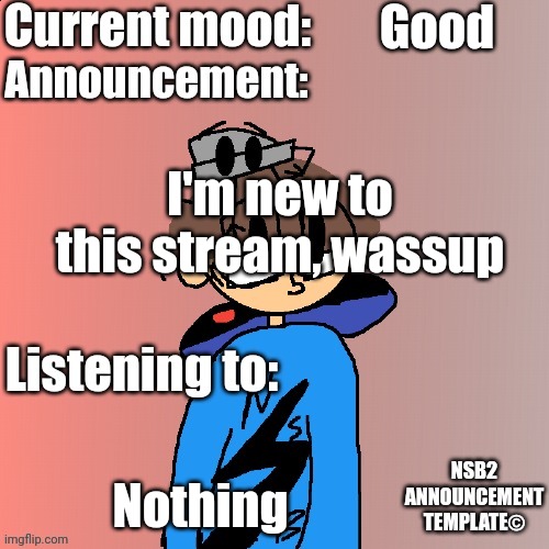 Hiya | Good; I'm new to this stream, wassup; Nothing | image tagged in nsb annoucement | made w/ Imgflip meme maker