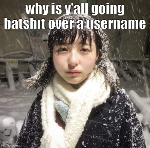 what’s going on?? | why is y’all going batshıt over a username | image tagged in hello all | made w/ Imgflip meme maker