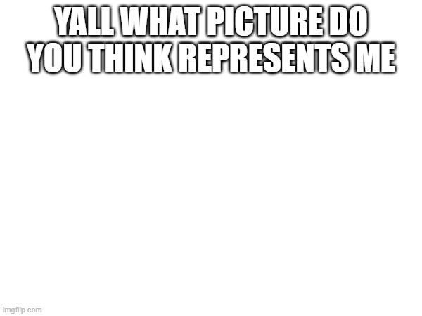 and no, not allowin bruh who tf are you lmaoooo's | YALL WHAT PICTURE DO YOU THINK REPRESENTS ME | made w/ Imgflip meme maker