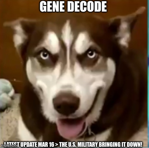 Gene Decode: Latest Update Mar 16 > The U.S. Military Bringing it Down! (Video) 