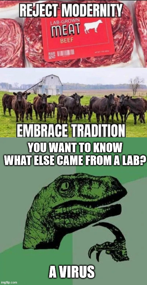 Reject their fake meat | YOU WANT TO KNOW WHAT ELSE CAME FROM A LAB? A VIRUS | image tagged in raptor asking questions | made w/ Imgflip meme maker