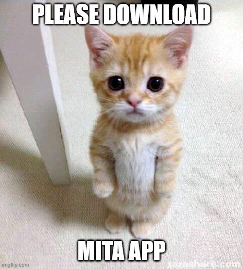 MITA | PLEASE DOWNLOAD; MITA APP | image tagged in memes,cute cat | made w/ Imgflip meme maker