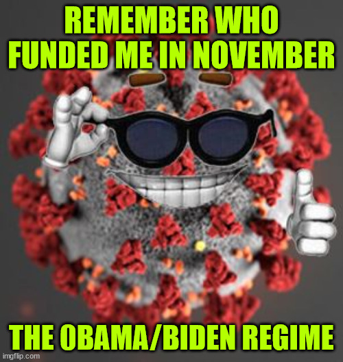 Say no to more democrat funded viruses in November... | REMEMBER WHO FUNDED ME IN NOVEMBER; THE 0BAMA/BIDEN REGIME | image tagged in coronavirus,obama,joe biden,funded it | made w/ Imgflip meme maker