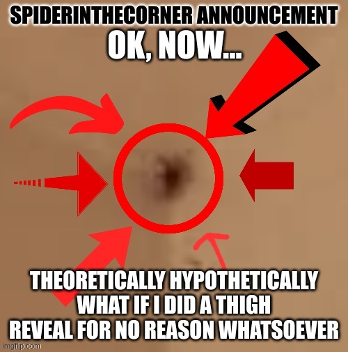 msmg lore | OK, NOW... THEORETICALLY HYPOTHETICALLY WHAT IF I DID A THIGH REVEAL FOR NO REASON WHATSOEVER | image tagged in spiderinthecorner announcement | made w/ Imgflip meme maker