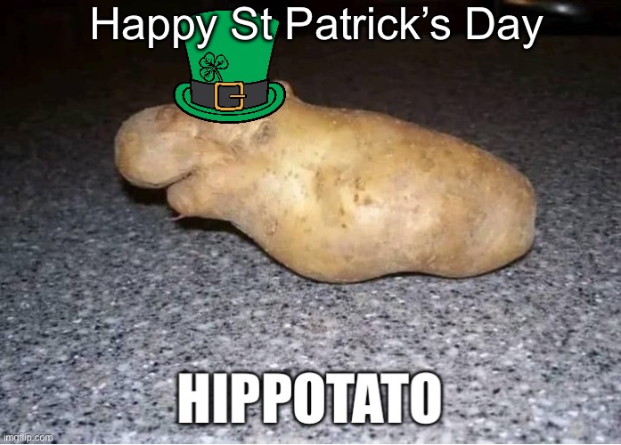 St Patrick’s Day | Happy St Patrick’s Day | image tagged in hippotato,st patrick's day,potato,hippopotamus | made w/ Imgflip meme maker