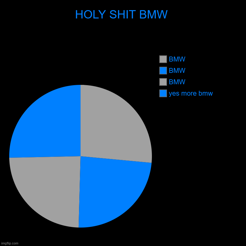 Piechart = BMW | HOLY SHIT BMW | yes more bmw, BMW, BMW, BMW | image tagged in charts,pie charts,bmw,cars,a random meme,shitpost | made w/ Imgflip chart maker