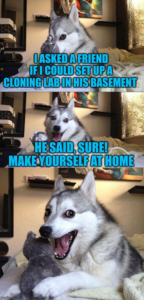 Bad Pun Dog | I ASKED A FRIEND IF I COULD SET UP A CLONING LAB IN HIS BASEMENT; HE SAID, SURE! MAKE YOURSELF AT HOME | image tagged in memes,bad pun dog | made w/ Imgflip meme maker