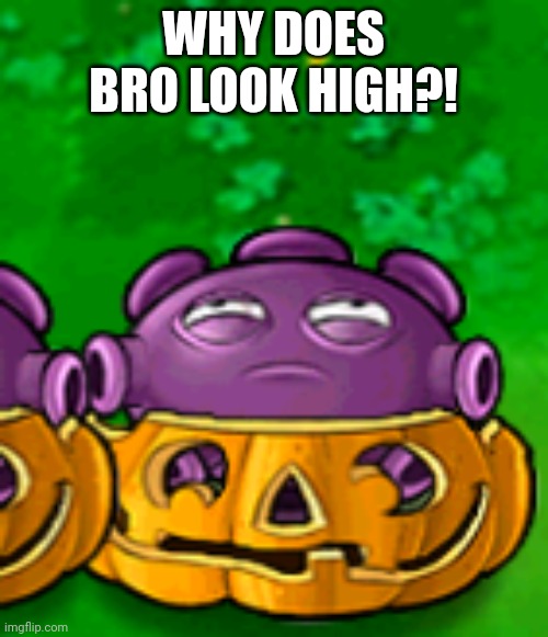 WHY DOES BRO LOOK HIGH?! | made w/ Imgflip meme maker