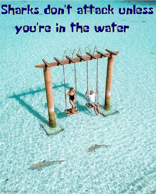 Summer Relaxation | image tagged in vince vance,swinging,tropical,beach,sharks,memes | made w/ Imgflip meme maker