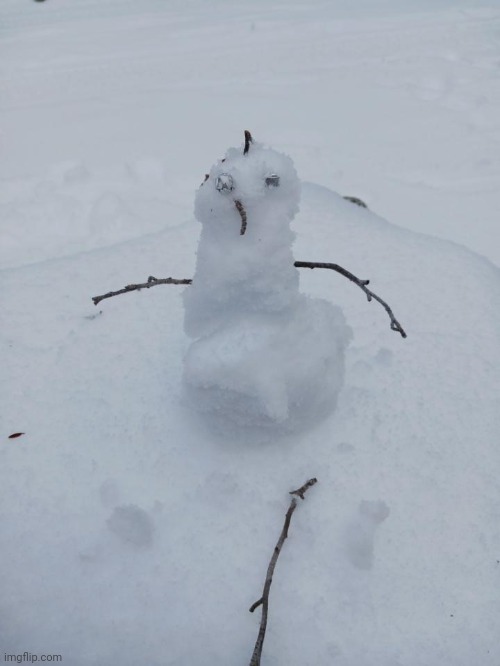 Throwback to last year when I made my first snowman | made w/ Imgflip meme maker