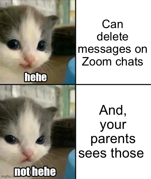 WHYYYYYYYYYY | Can delete messages on Zoom chats; And, your parents sees those 💀 | image tagged in cute cat hehe and not hehe | made w/ Imgflip meme maker