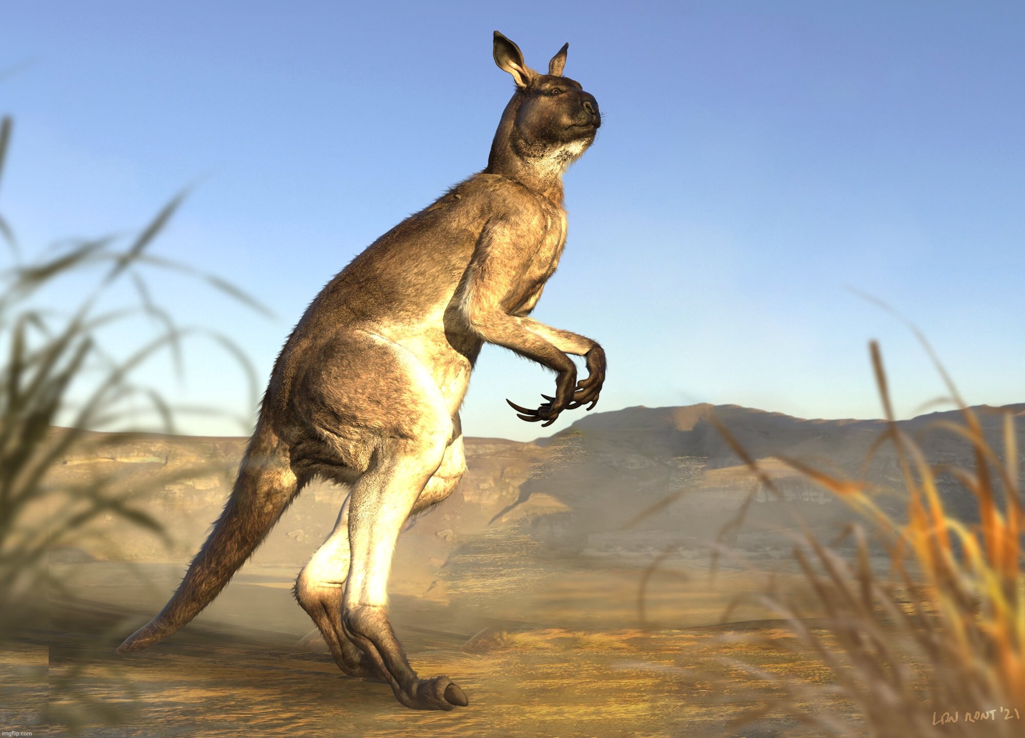 Procoptodon goliah, giant short face kangaroo that apparently walked around rather than hop | image tagged in procoptodon goliah,kangaroo,prehistoric kangaroo,prehistoric,marsupial,australia | made w/ Imgflip meme maker