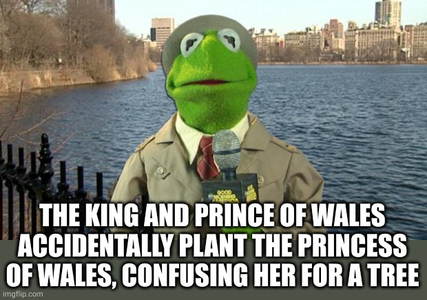 Kermit News Report | THE KING AND PRINCE OF WALES ACCIDENTALLY PLANT THE PRINCESS OF WALES, CONFUSING HER FOR A TREE | image tagged in kermit news report | made w/ Imgflip meme maker