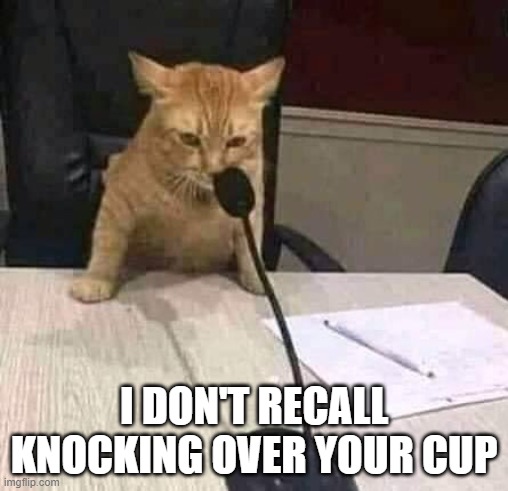 Cat Recall | I DON'T RECALL KNOCKING OVER YOUR CUP | image tagged in cat conference | made w/ Imgflip meme maker