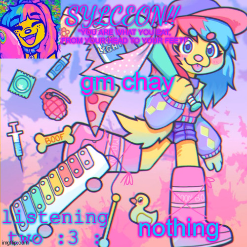 who tf is chay | gm chay; nothing | image tagged in this is sylceon speakjin and ur listenin 2 4lung | made w/ Imgflip meme maker