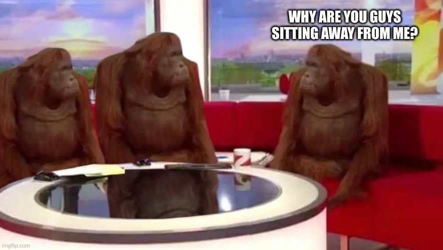 Monkeys | WHY ARE YOU GUYS SITTING AWAY FROM ME? | image tagged in where monkey,memes,monkey,monkeys | made w/ Imgflip meme maker