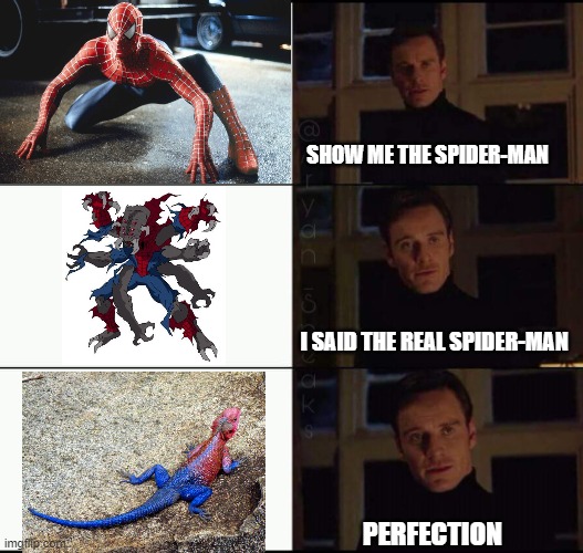Show Me The Real Spider-Man | SHOW ME THE SPIDER-MAN; I SAID THE REAL SPIDER-MAN; PERFECTION | image tagged in show me the real | made w/ Imgflip meme maker