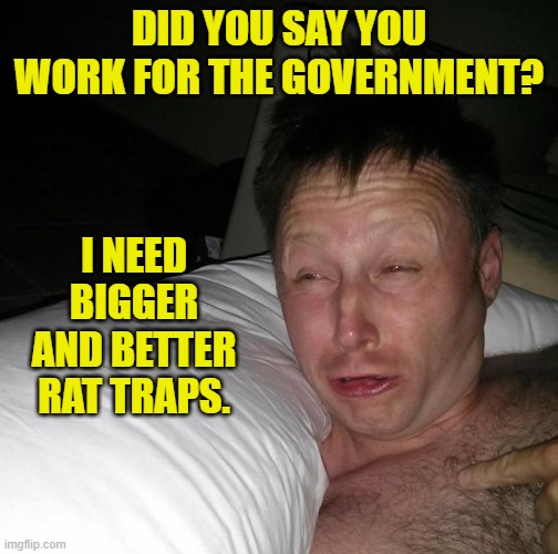 The rats just keep getting more persistent. | DID YOU SAY YOU WORK FOR THE GOVERNMENT? I NEED BIGGER AND BETTER RAT TRAPS. | image tagged in limmy waking up | made w/ Imgflip meme maker