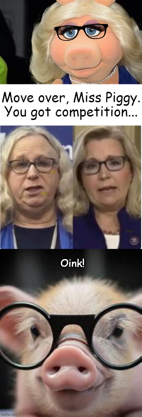 When Pigs Fly... | Move over, Miss Piggy.
You got competition... Oink! | image tagged in political humor,rachel levine,liz cheney,miss piggy,pigs,when pigs fly | made w/ Imgflip meme maker
