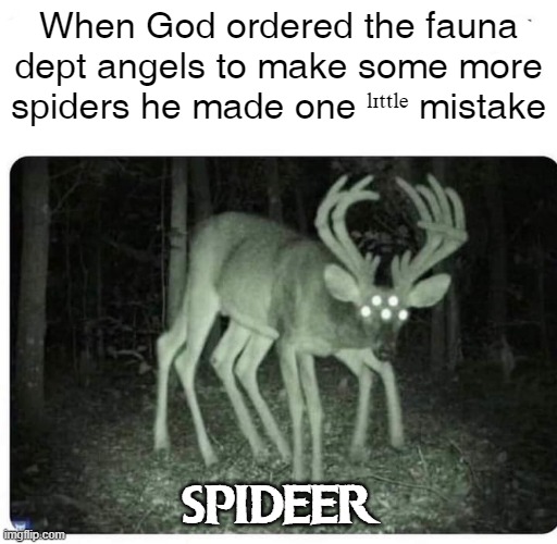 God whoopsied | When God ordered the fauna dept angels to make some more spiders he made one ˡᶦᵗᵗˡᵉ mistake; SPIDEER | image tagged in deer,spider,god,religion,mistake,fail | made w/ Imgflip meme maker