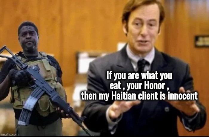 If you are what you eat , your Honor ,
 then my Haitian client is innocent | made w/ Imgflip meme maker